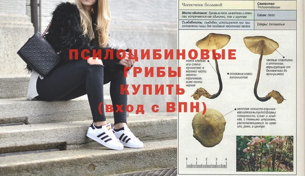 винт Алексеевка