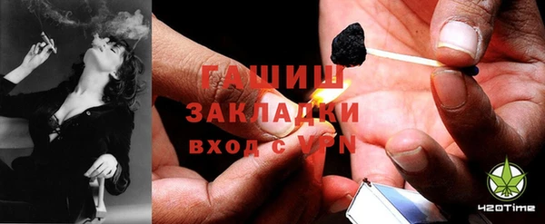 стаф Алзамай
