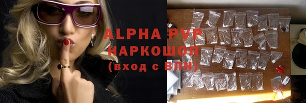 стаф Алзамай