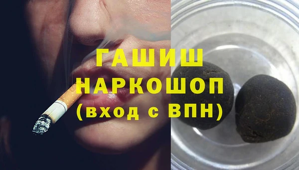 стаф Алзамай
