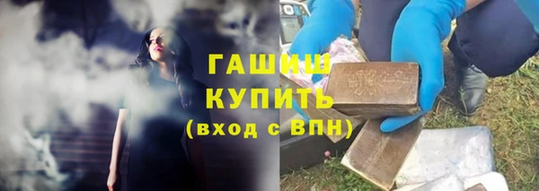 стаф Алзамай