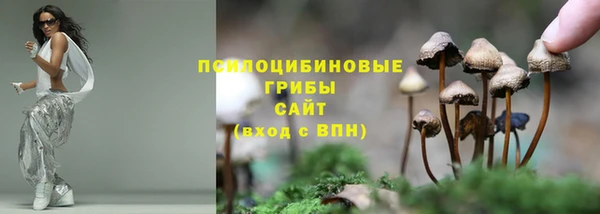 твердый Алексин